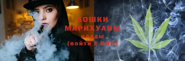 соль ск Новодвинск