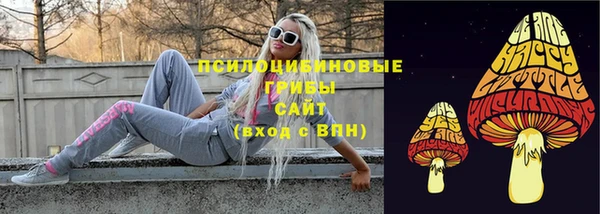соль ск Новодвинск