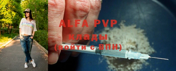соль ск Новодвинск