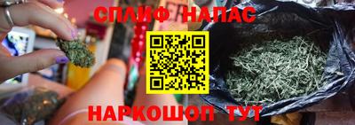 сатива Северобайкальск