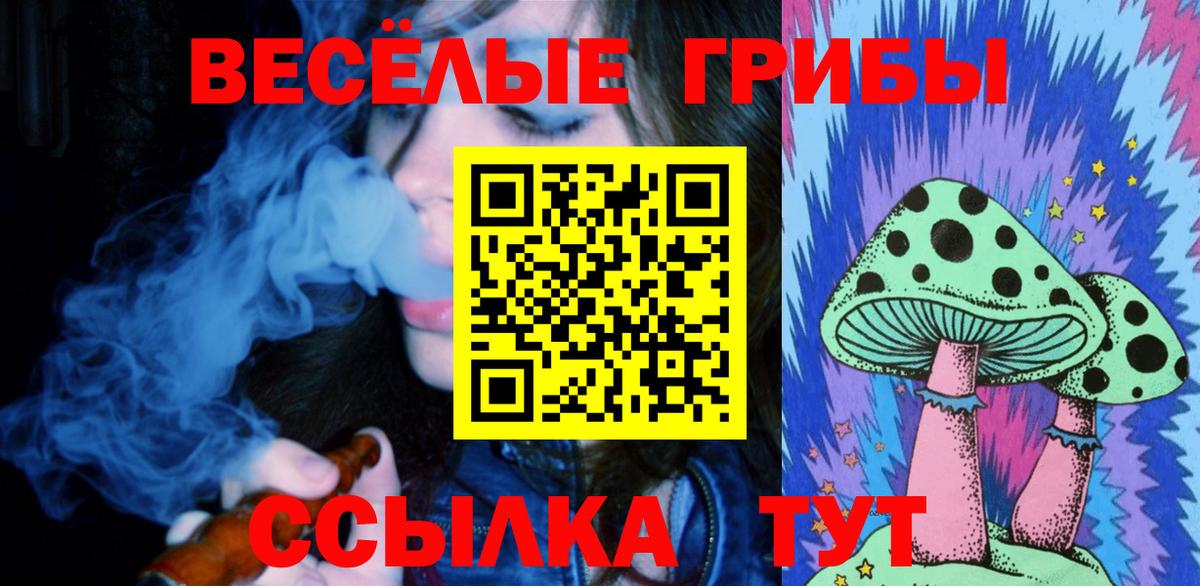 Холмск  Псилоцибиновые грибы ЛСД  Вход с VPN 